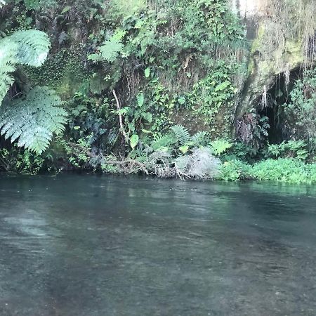 Vila A1 Troutfishing At Tirau Exteriér fotografie
