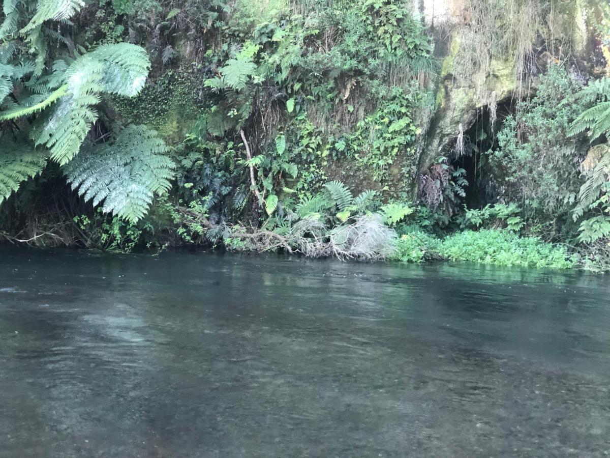 Vila A1 Troutfishing At Tirau Exteriér fotografie